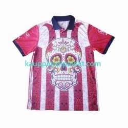 Deportivo Guadalajara Day of the Dead Vieras Fanipelipaita (Miehet) 2023-2024 Lyhythihainen
