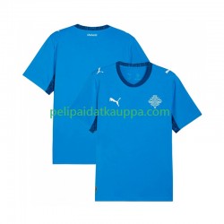 Islanti Koti Fanipelipaita (Miehet) 2026 Lyhythihainen