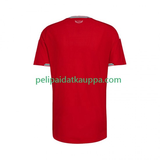 Wales Koti Fanipelipaita (Miehet) 2026 Lyhythihainen